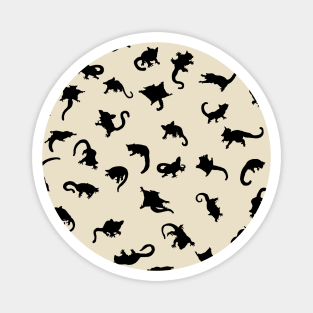 Sugar gliders Magnet